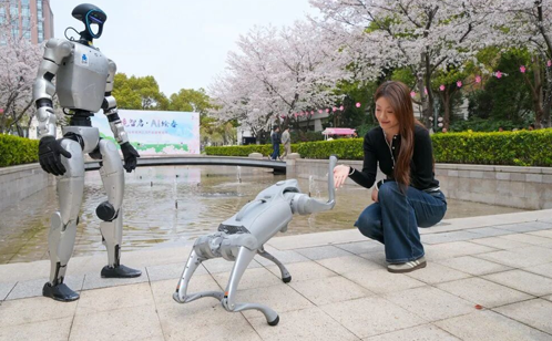 1775612865209256.png 图层9.png